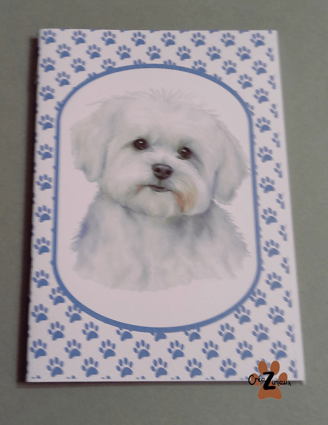 Carnet de note Bichon maltais