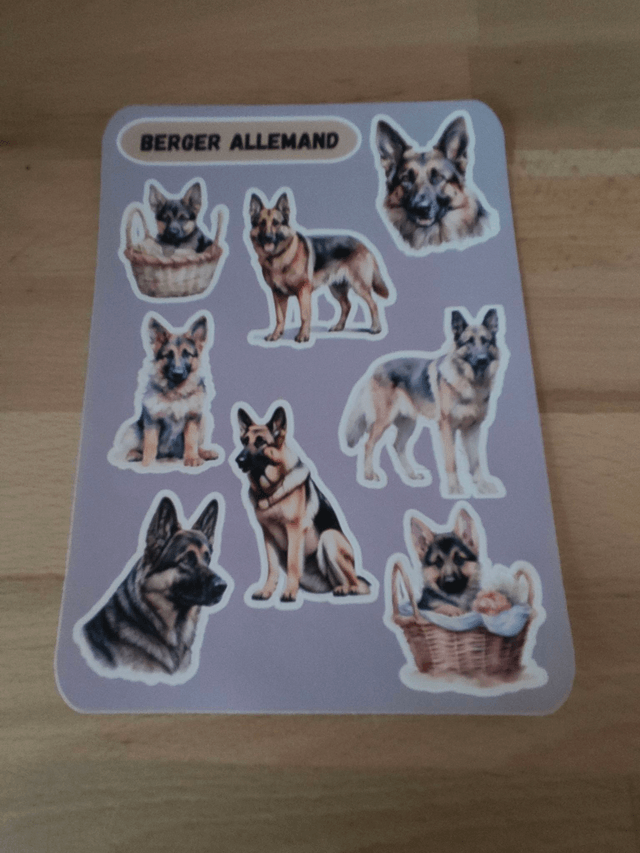 Planche stickers Berger allemand