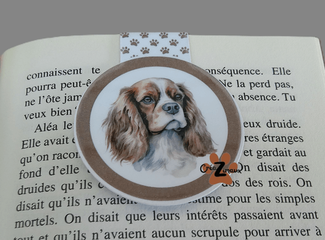 Marque pages Cavalier King Charles (magnétique ou standard) 