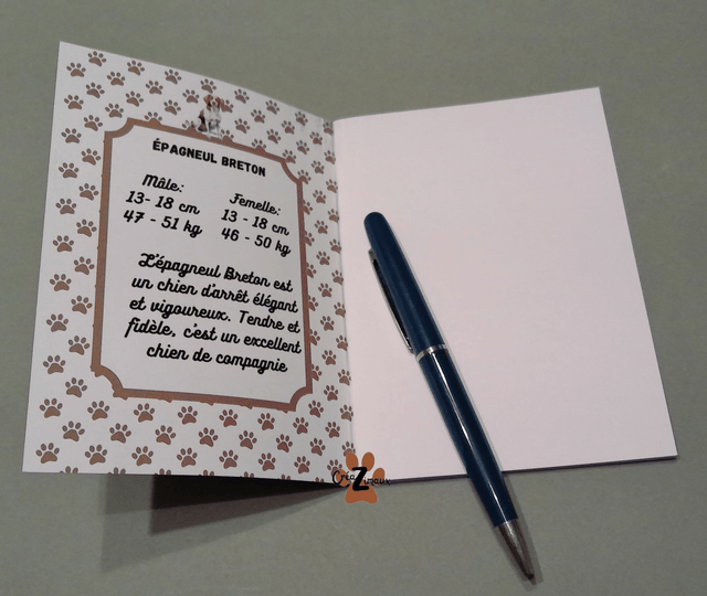 Carnet de note Epagneul breton