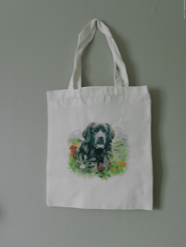 Sac - Tote bag Terre Neuve