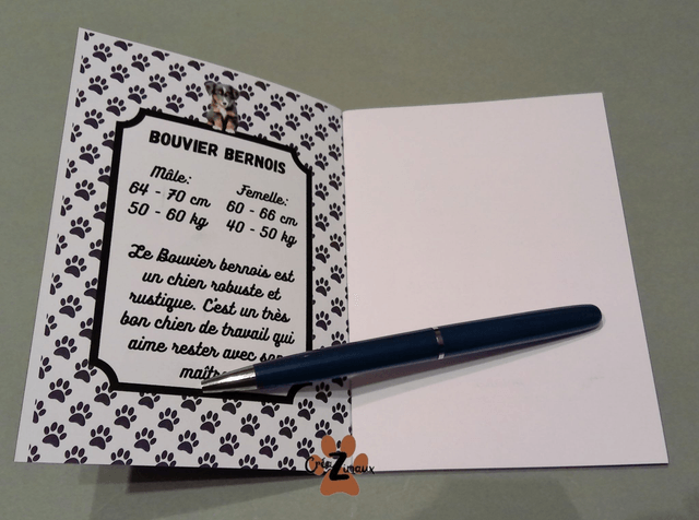 Carnet de note Bouvier bernois