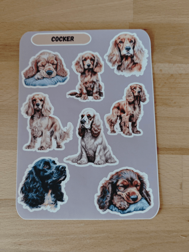 Planche stickers Cocker