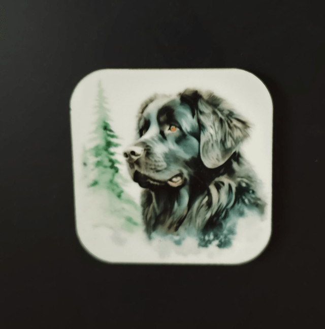 Magnet Terre Neuve