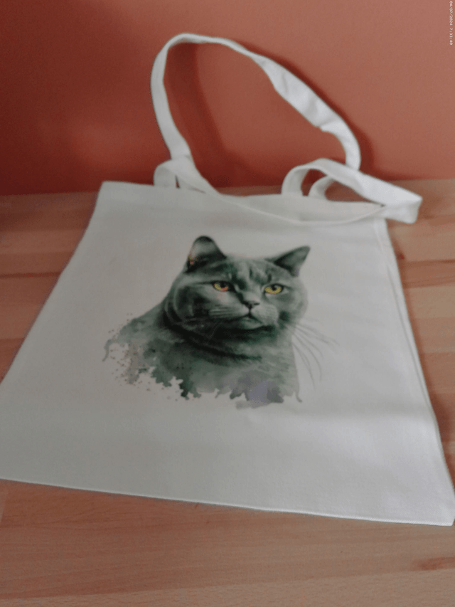 Sac - Tote bag Chartreux