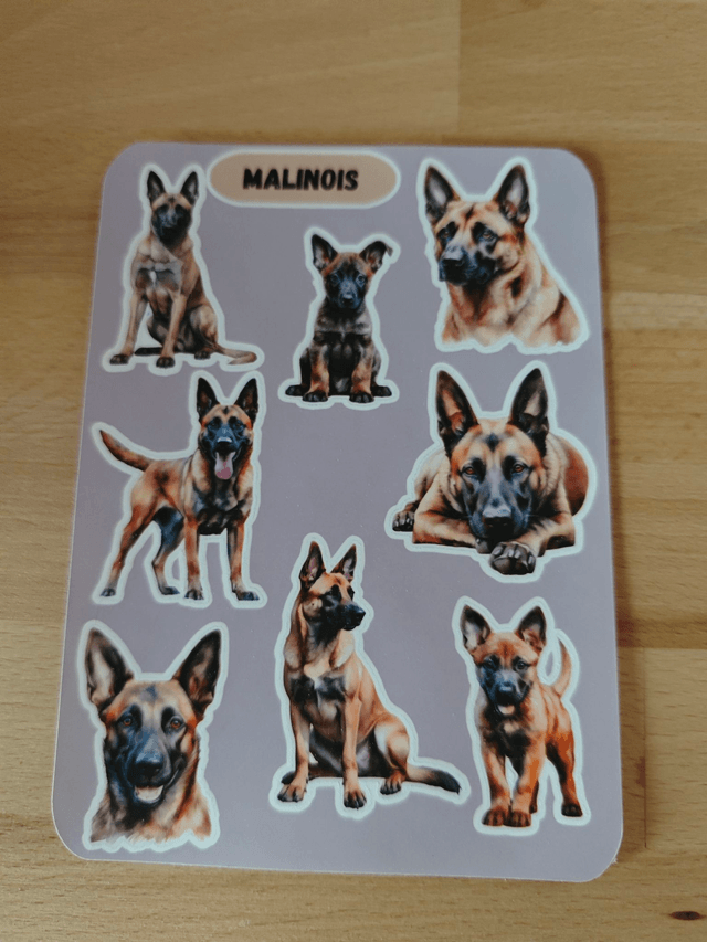 Planche stickers Malinois