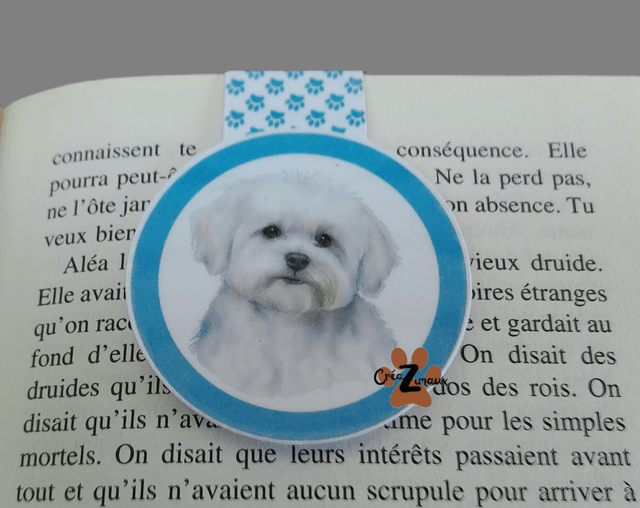 Marque pages Bichon maltais (magnétique ou standard) 