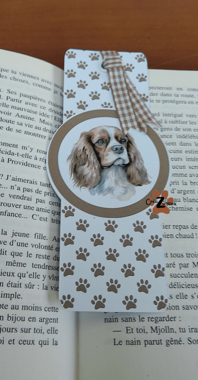 Marque pages Cavalier King Charles (magnétique ou standard) 