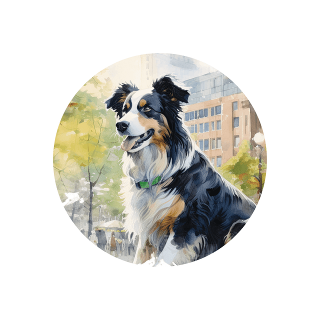 Porte clé Border Collie