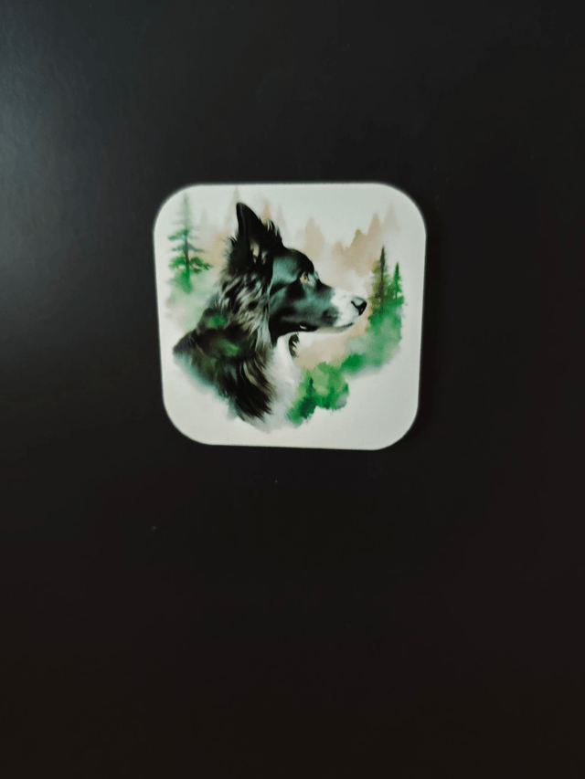 Magnet Border Collie
