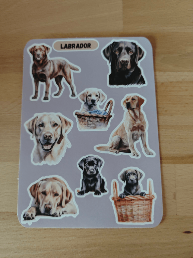 Planche stickers Labrador