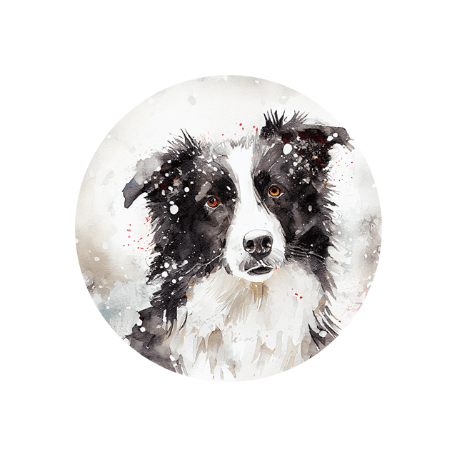 Porte clé Border Collie