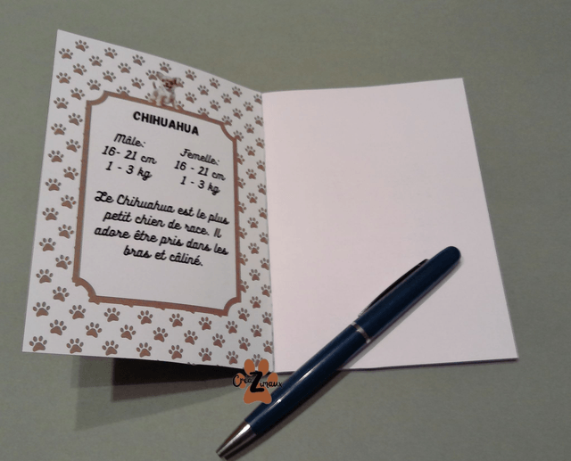 Carnet de note Chihuahua