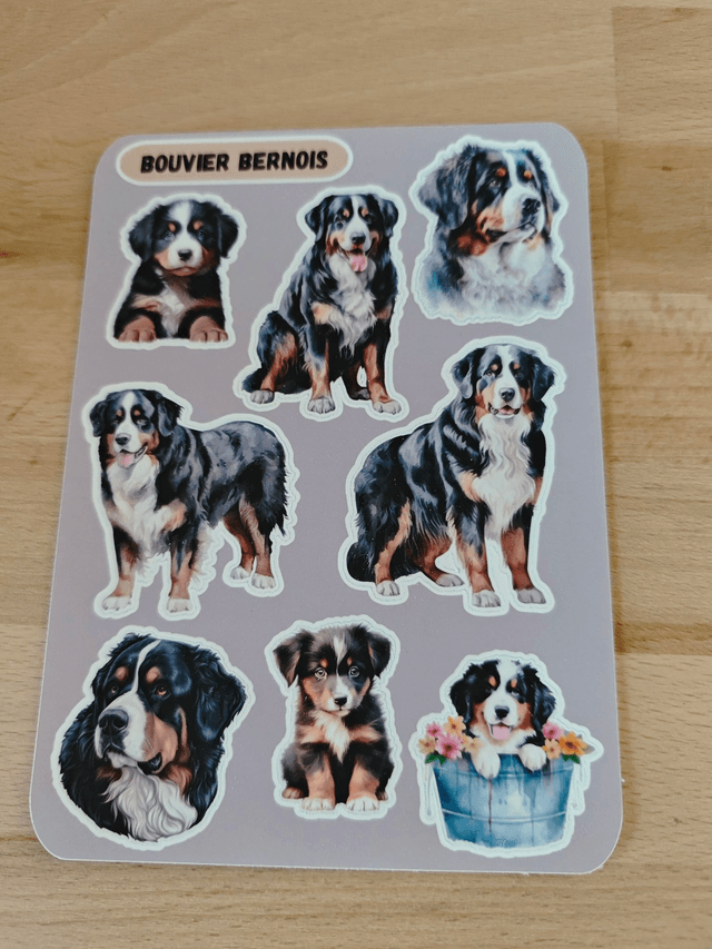 Planche stickers Bouvier Bernois