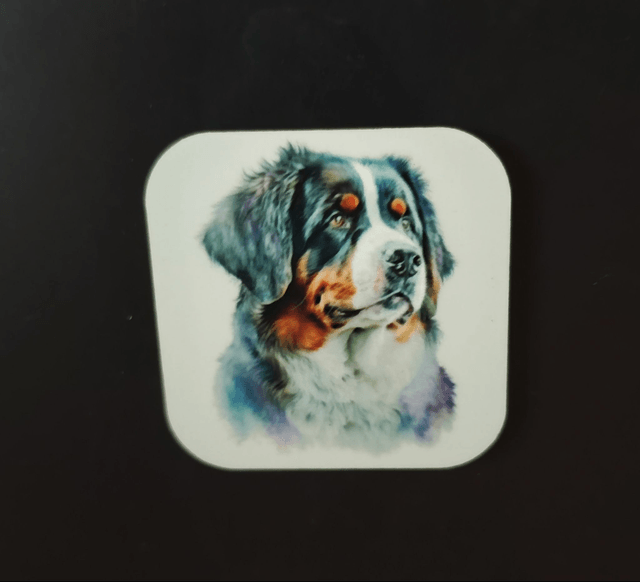 Magnet Bouvier Bernois