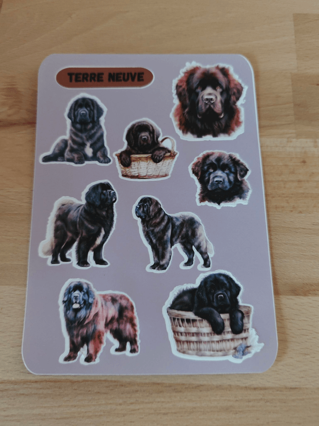 Planche stickers Terre Neuve