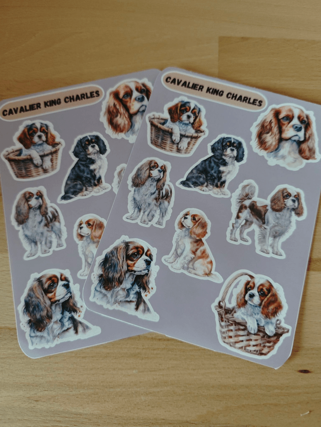 Planche stickers Cavalier King Charles