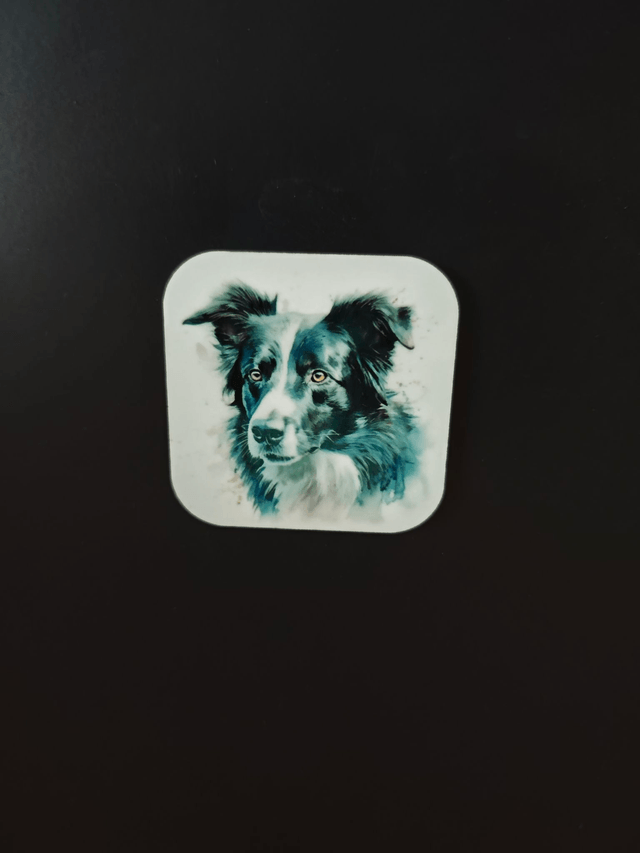 Magnet Border Collie