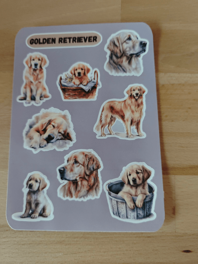 Planche stickers Golden Retriever
