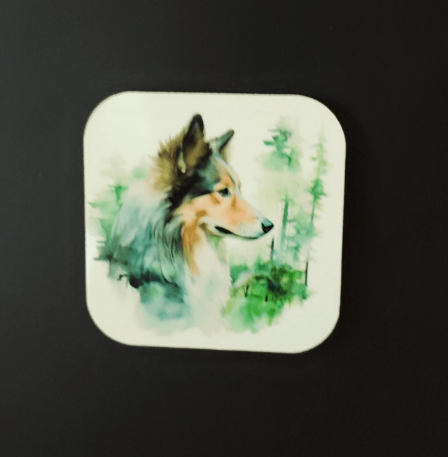 Magnet Schetland