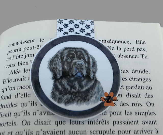Marque pages Terre neuve (magnétique ou standard) 