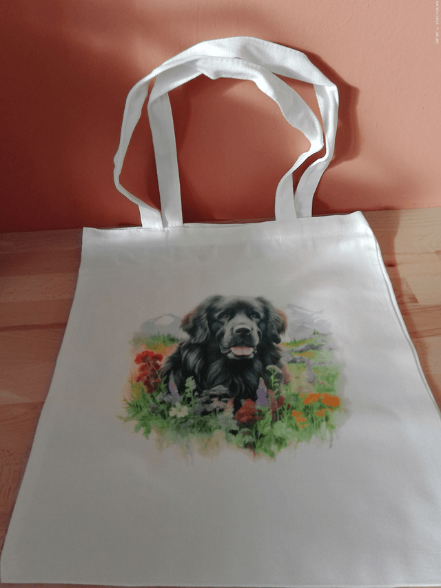 Sac - Tote bag Terre Neuve