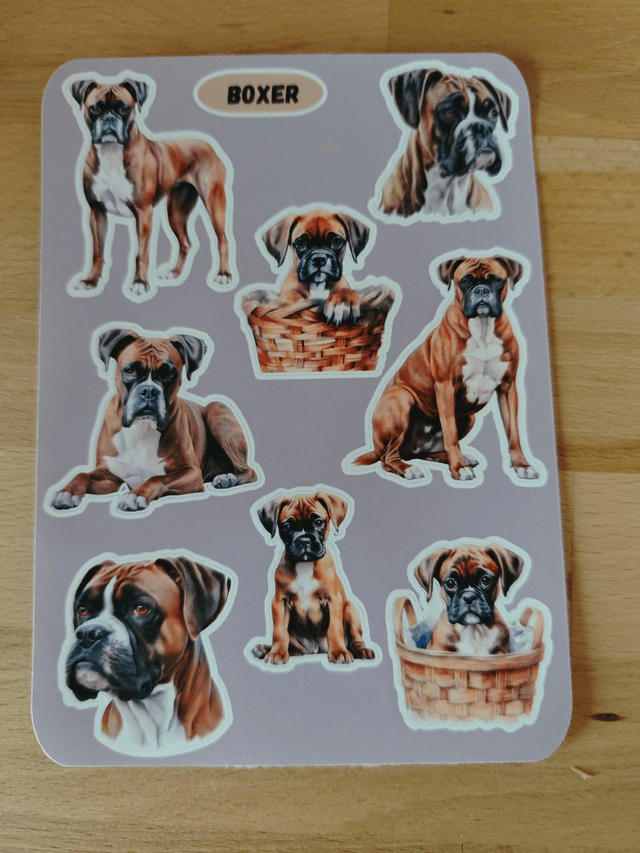 Planche stickers Boxer