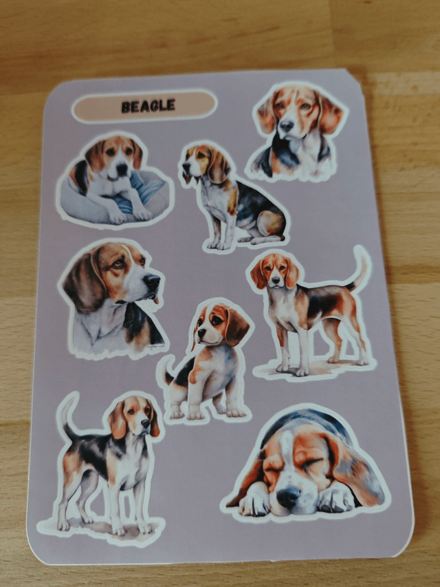 Planche stickers Beagle
