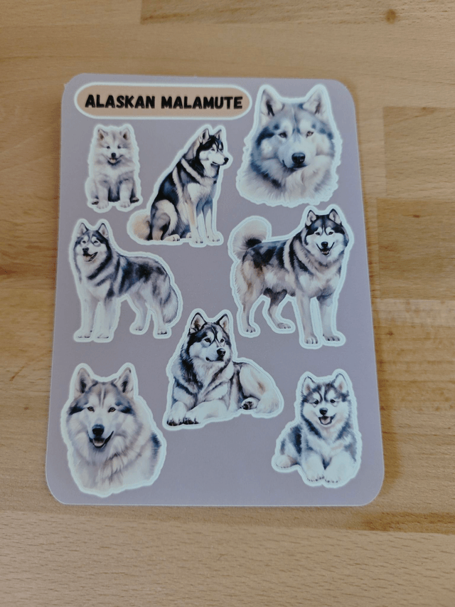 Planche stickers Alaskan Malamute