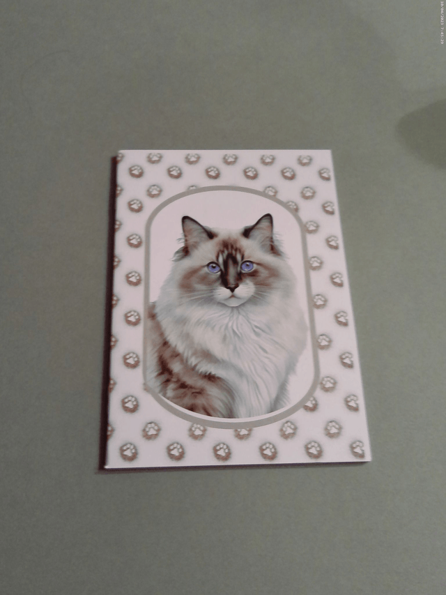 Carnet de note Ragdoll