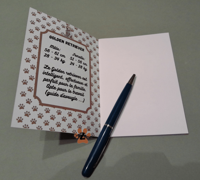 Carnet de note Golden retriever