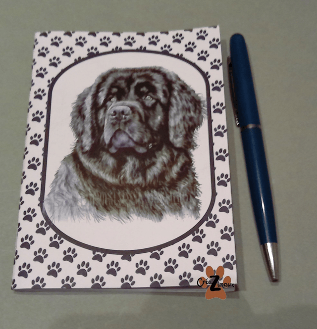 Carnet de note Terre neuve