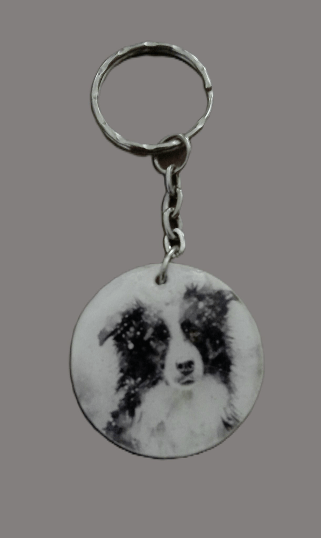 Porte clé Border Collie