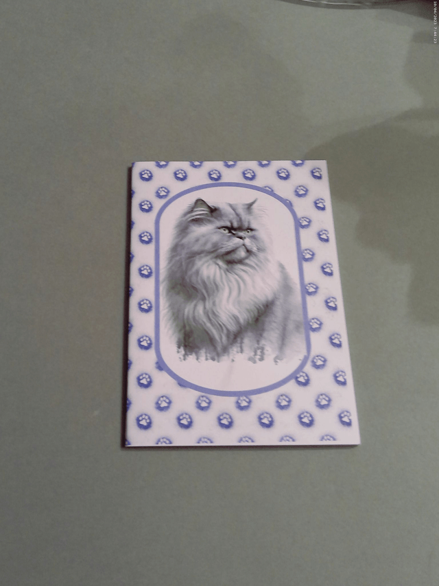 Carnet de note Persan