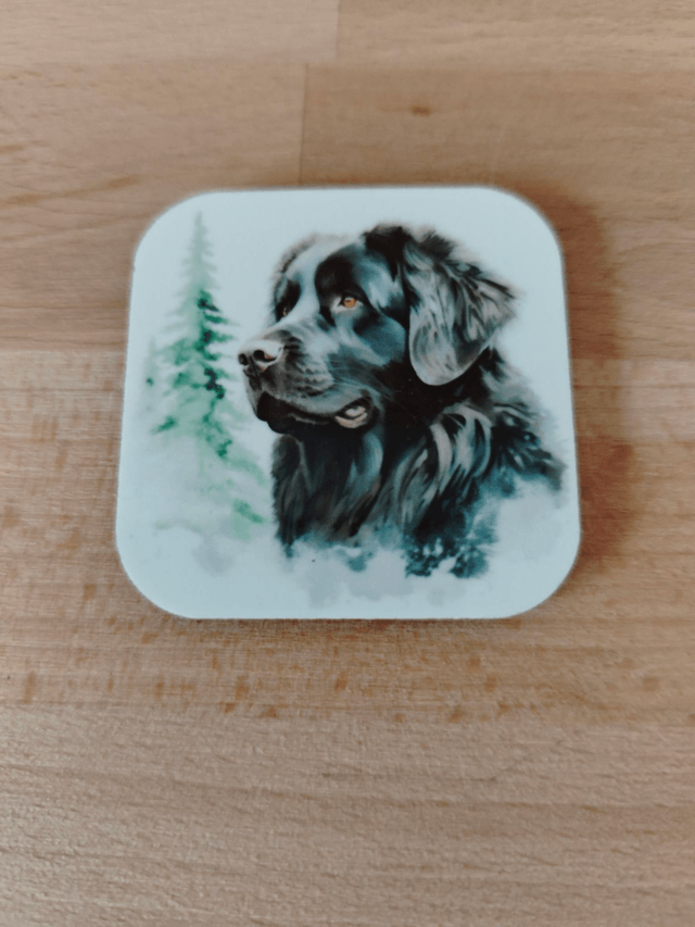 Magnet Terre Neuve