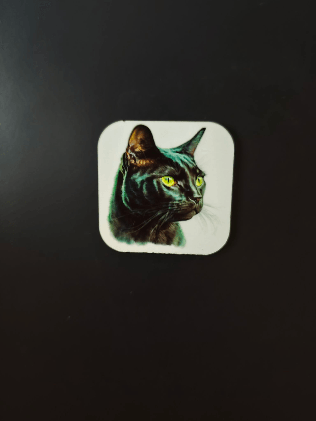 Magnet chat noir