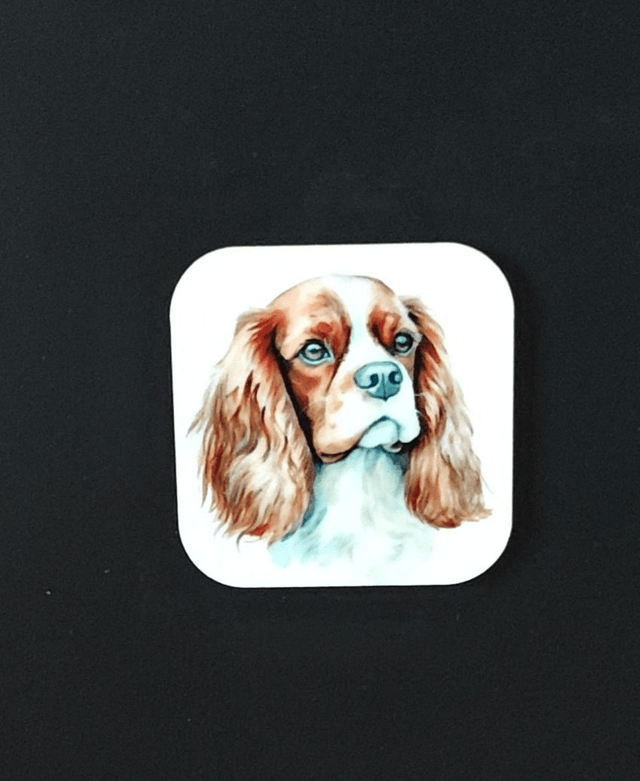 Magnet Cavalier King Charles