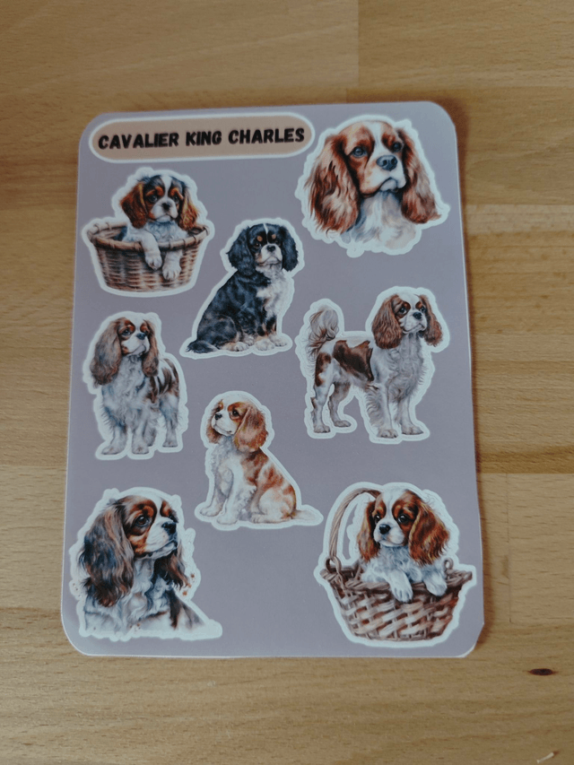 Planche stickers Cavalier King Charles