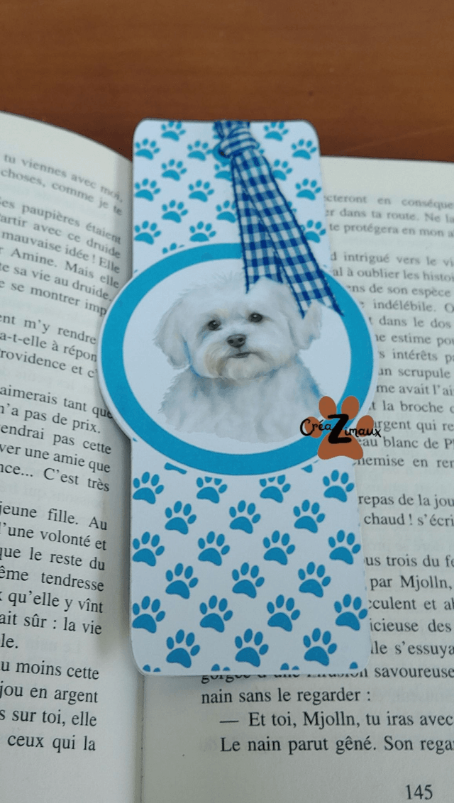 Marque pages Bichon maltais (magnétique ou standard) 