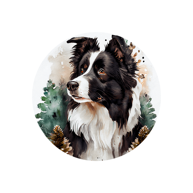 Porte clé Border Collie