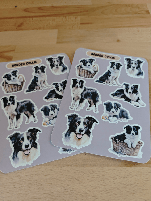 Planche stickers Border Collie