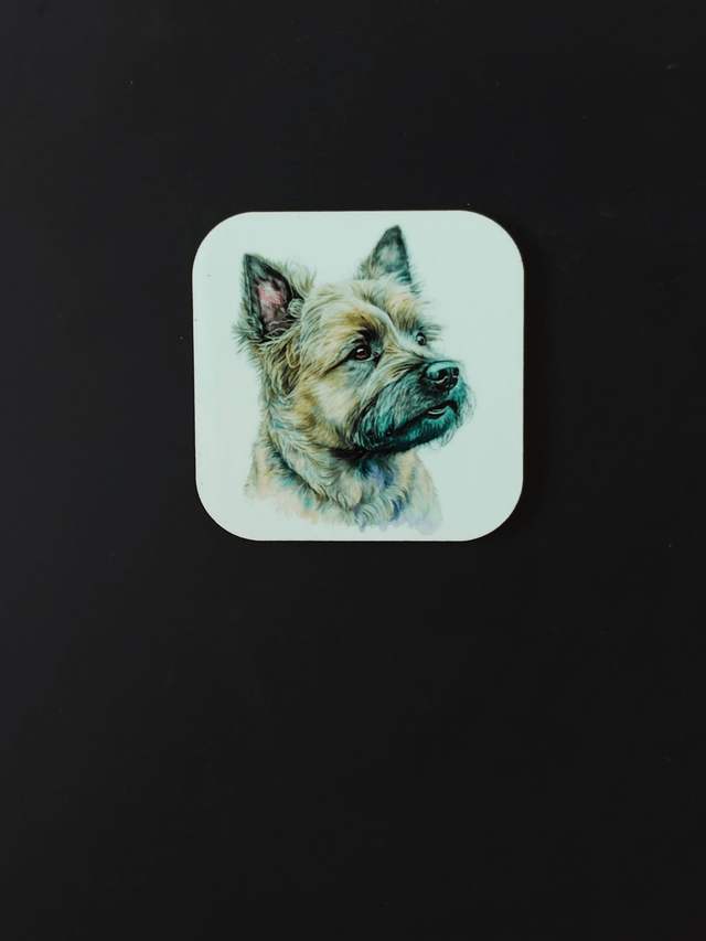Magnet Cairn Terrier