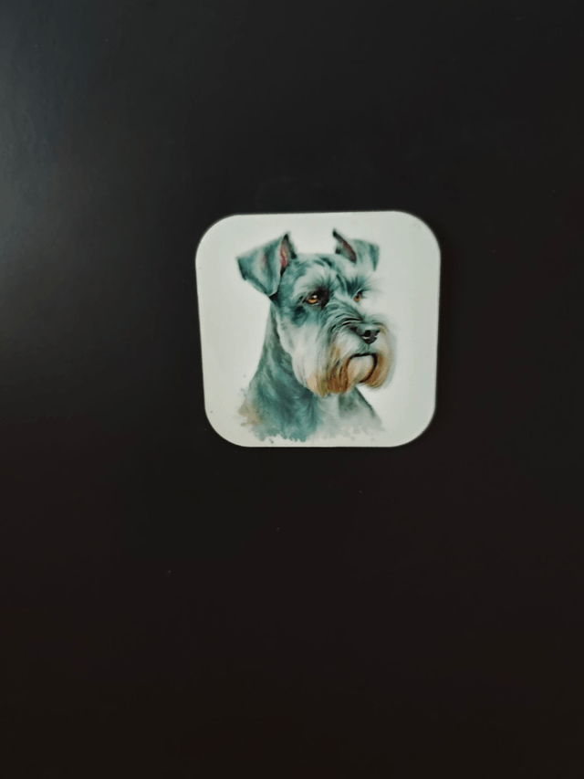 Magnet Schnauzer