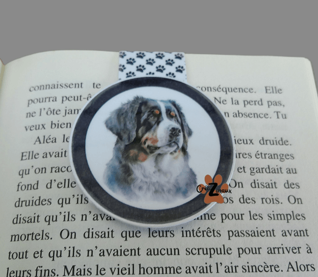Marque pages Bouvier bernois (magnétique ou standard) 