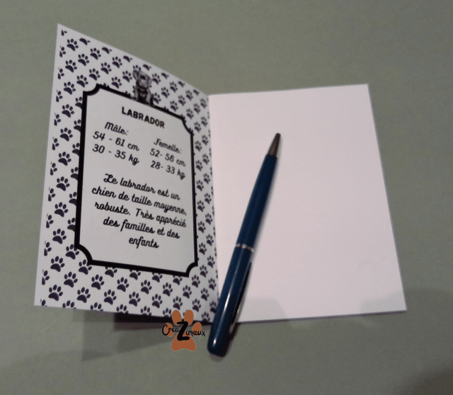 Carnet de note Labrador