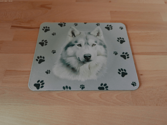 Tapis de souris Alaskan Malamute