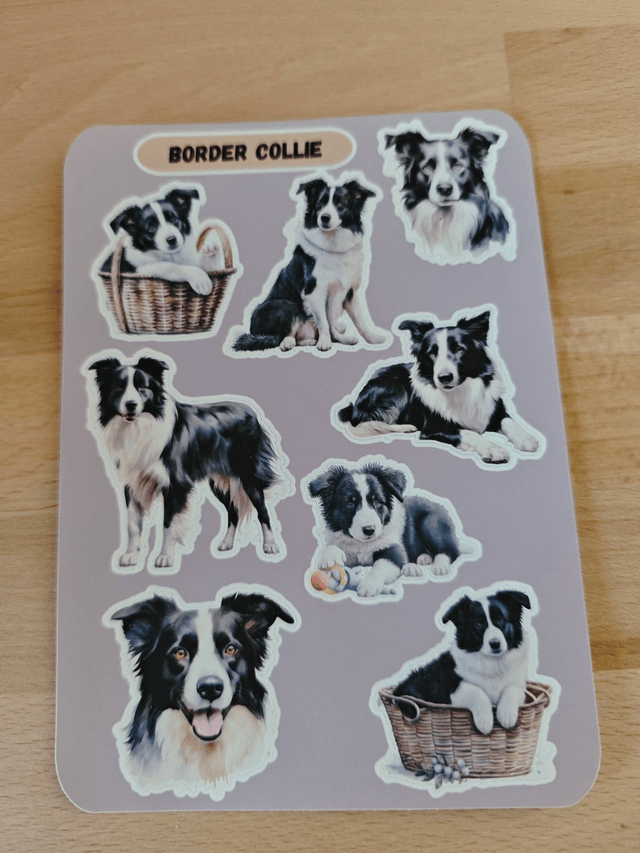 Planche stickers Border Collie