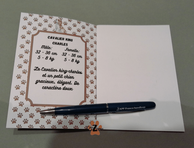 Carnet de note Cavalier king charles