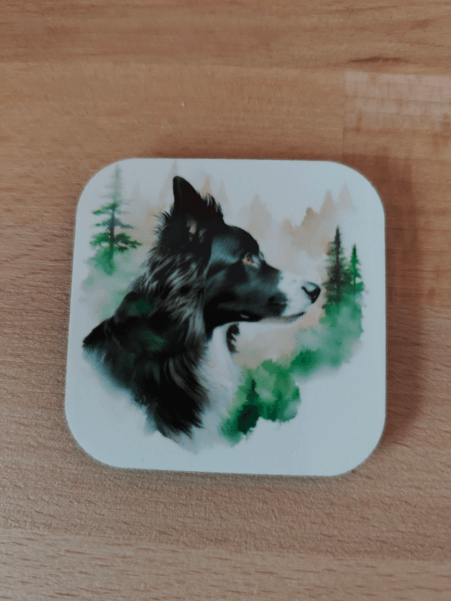 Magnet Border Collie