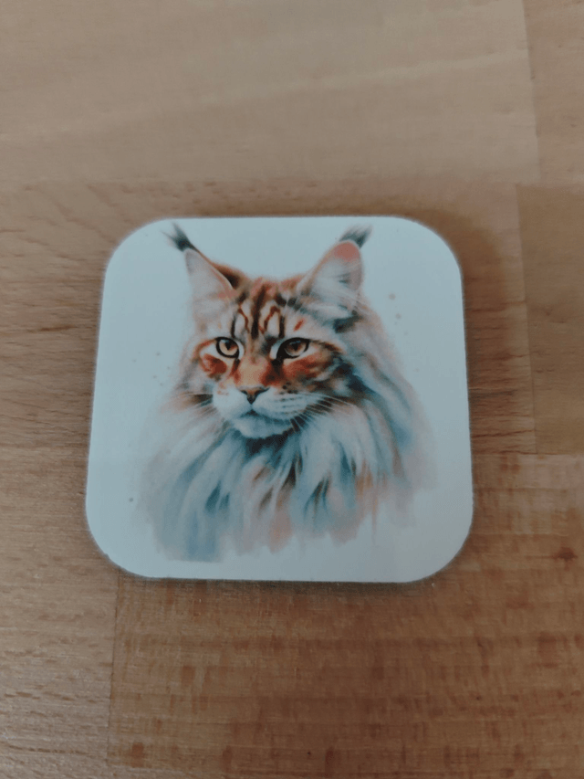 Magnet chat Maine Coon